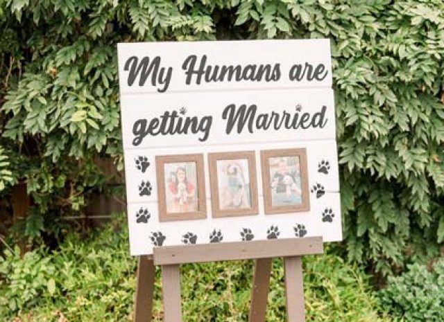My Humans Are Getting Married sign